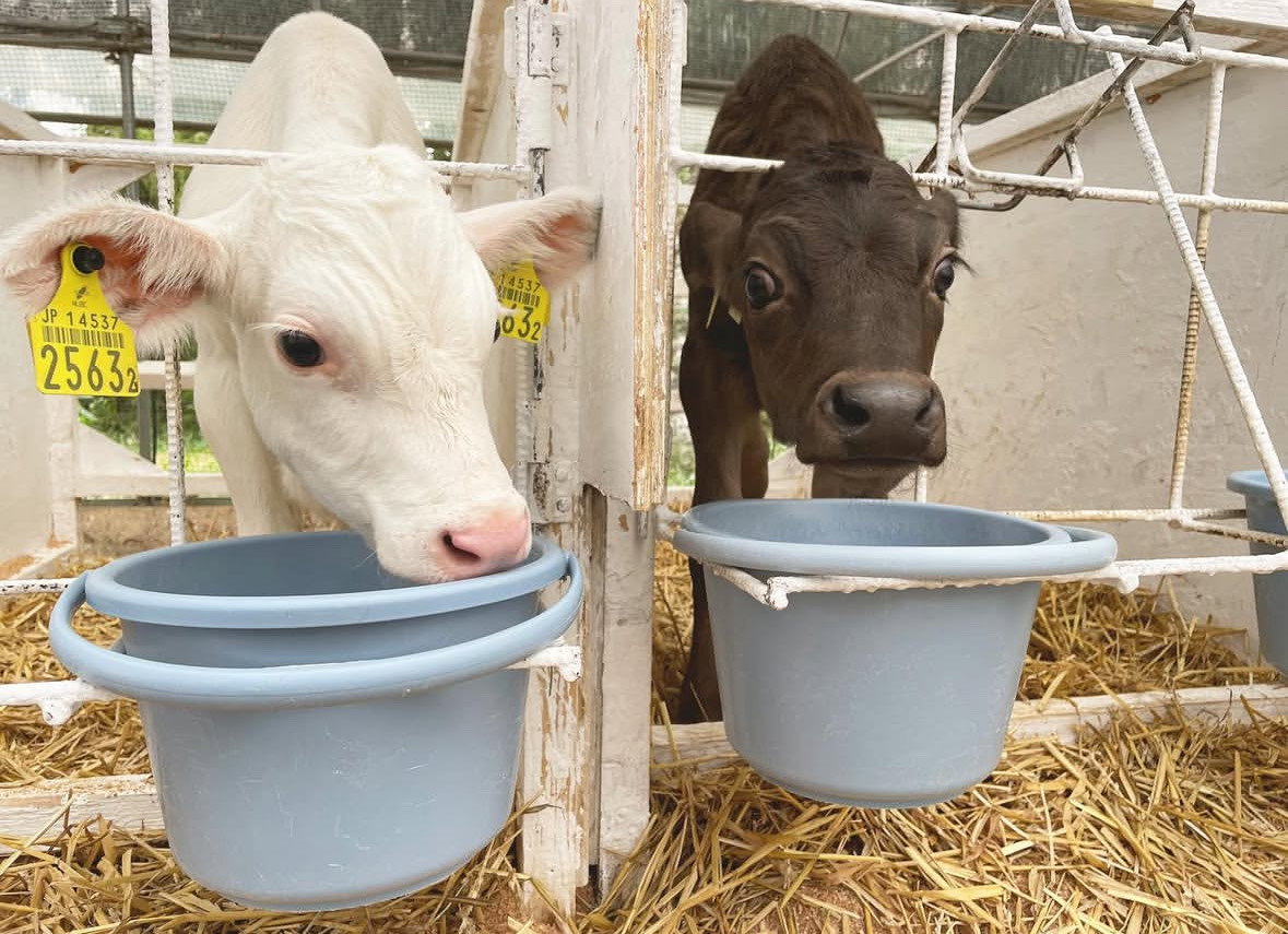 株式会社清友ファーム