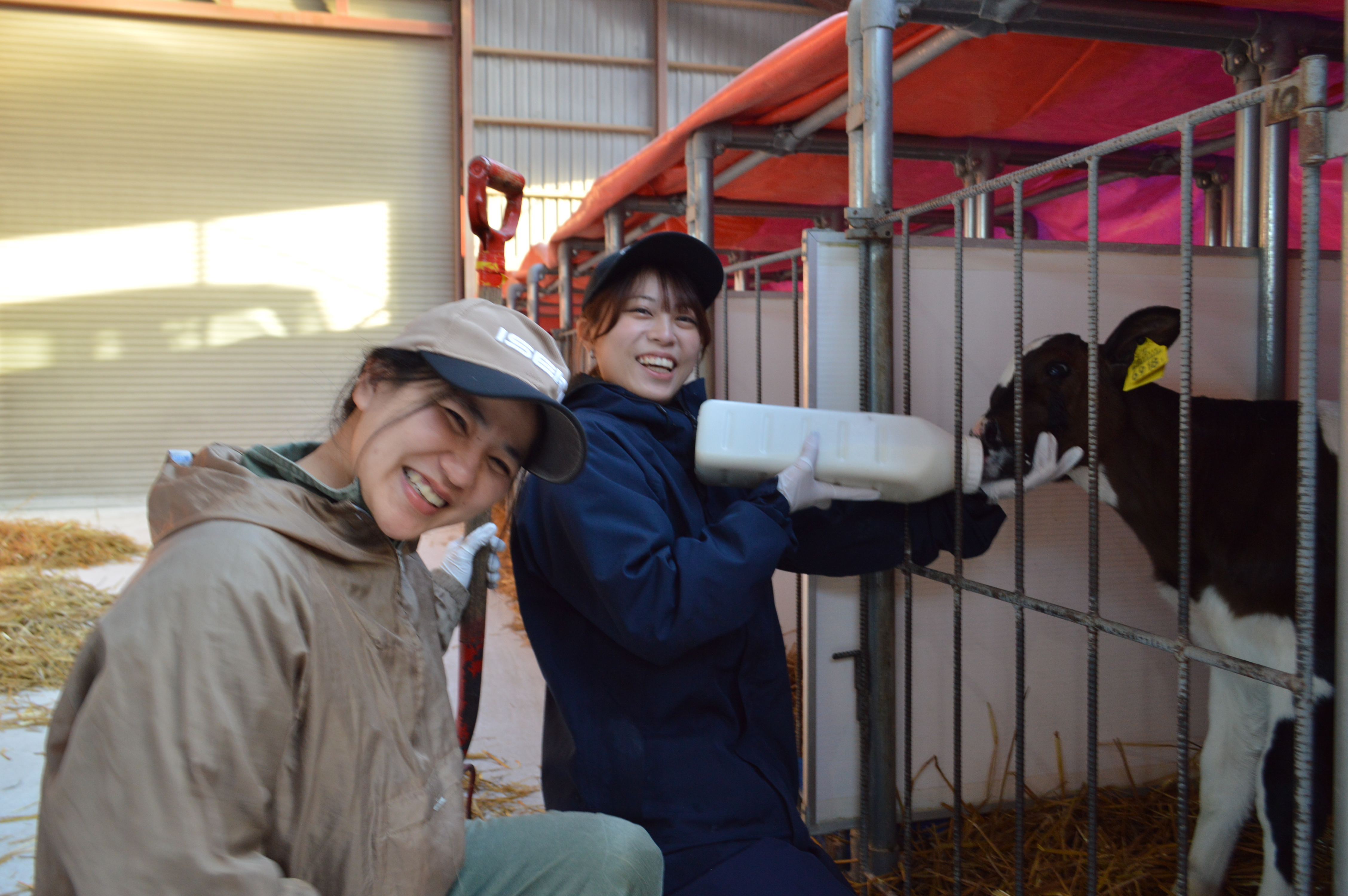 株式会社マジカナファーム