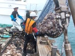 雄武漁業協同組合 ホタテ貝漁業生産部会