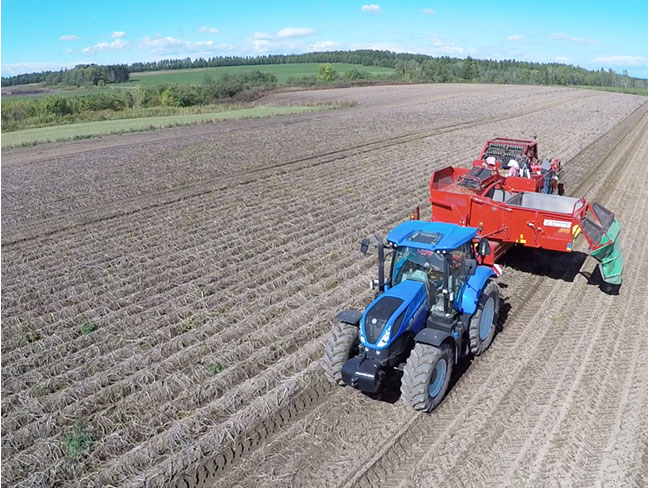 色んな方が在籍しています。元団体職員の方、コンビニ店員の方、食品製造工場スタッフ、配送ドライバーなど、色んな人が働いているのが農場です。