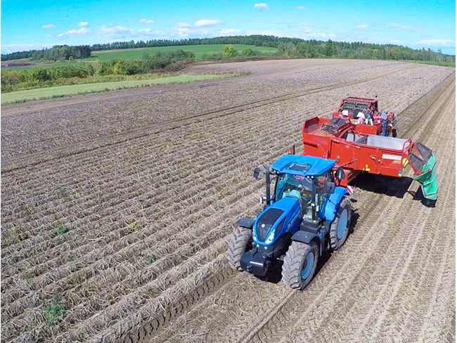 色んな方が在籍しています。元団体職員の方、コンビニ店員の方、食品製造工場スタッフ、配送ドライバーなど、色んな人が働いているのが農場です。