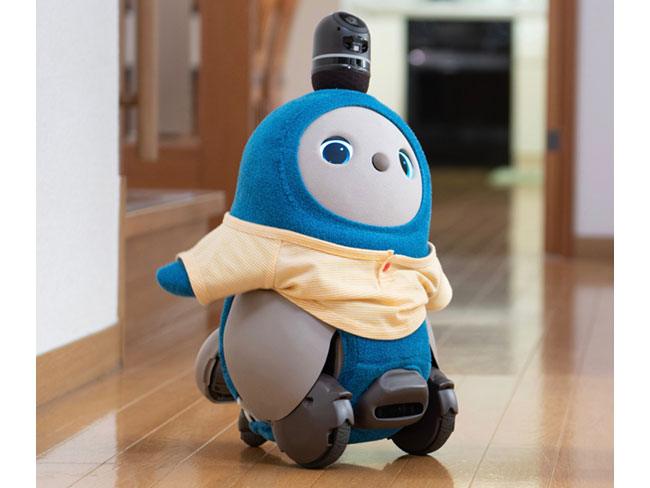 【中古】 子どもとでかける新潟あそび場ガイド ’０５～’０６/メイツユニバーサルコンテンツ/新潟たんぽぽクラブ 児童発達支援・放課後等児童デイサービスげんきファクトリー