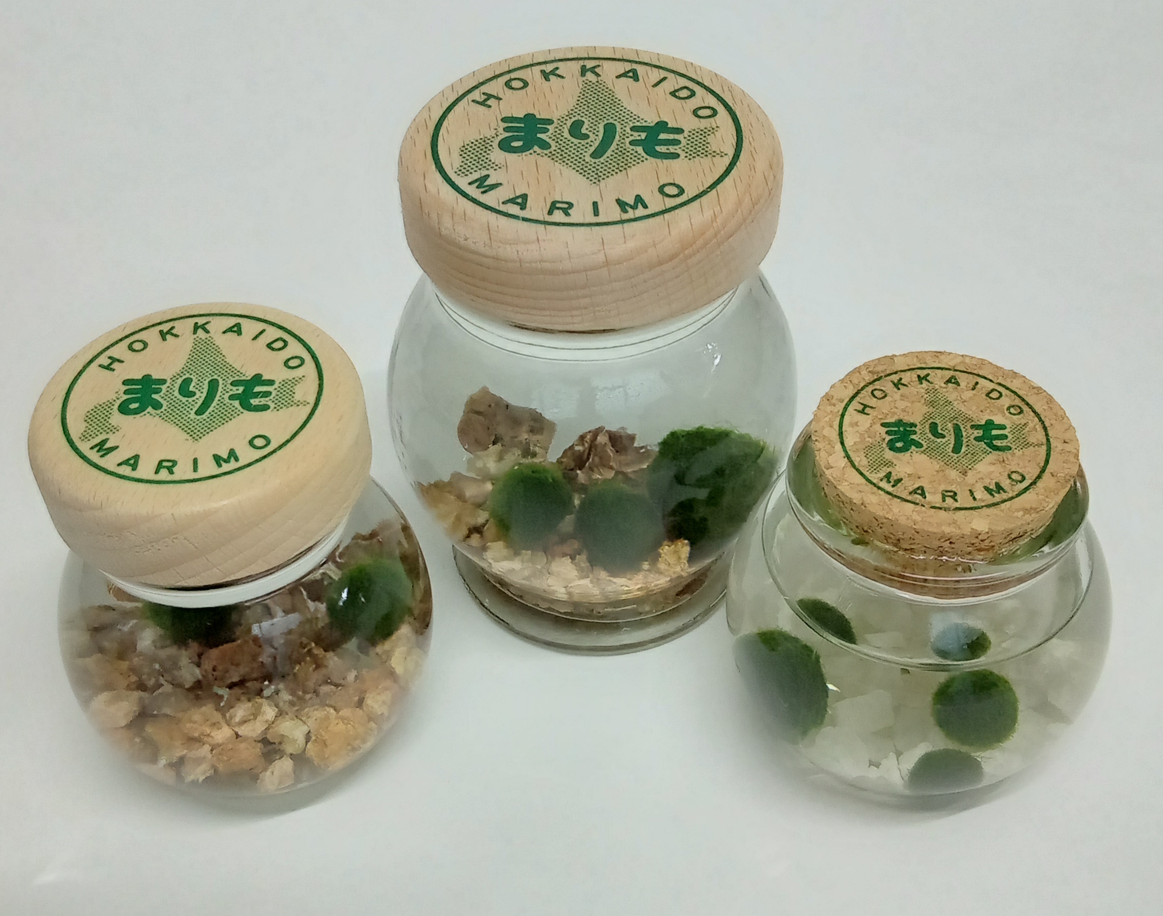 まりも商品もつくって販売しています★