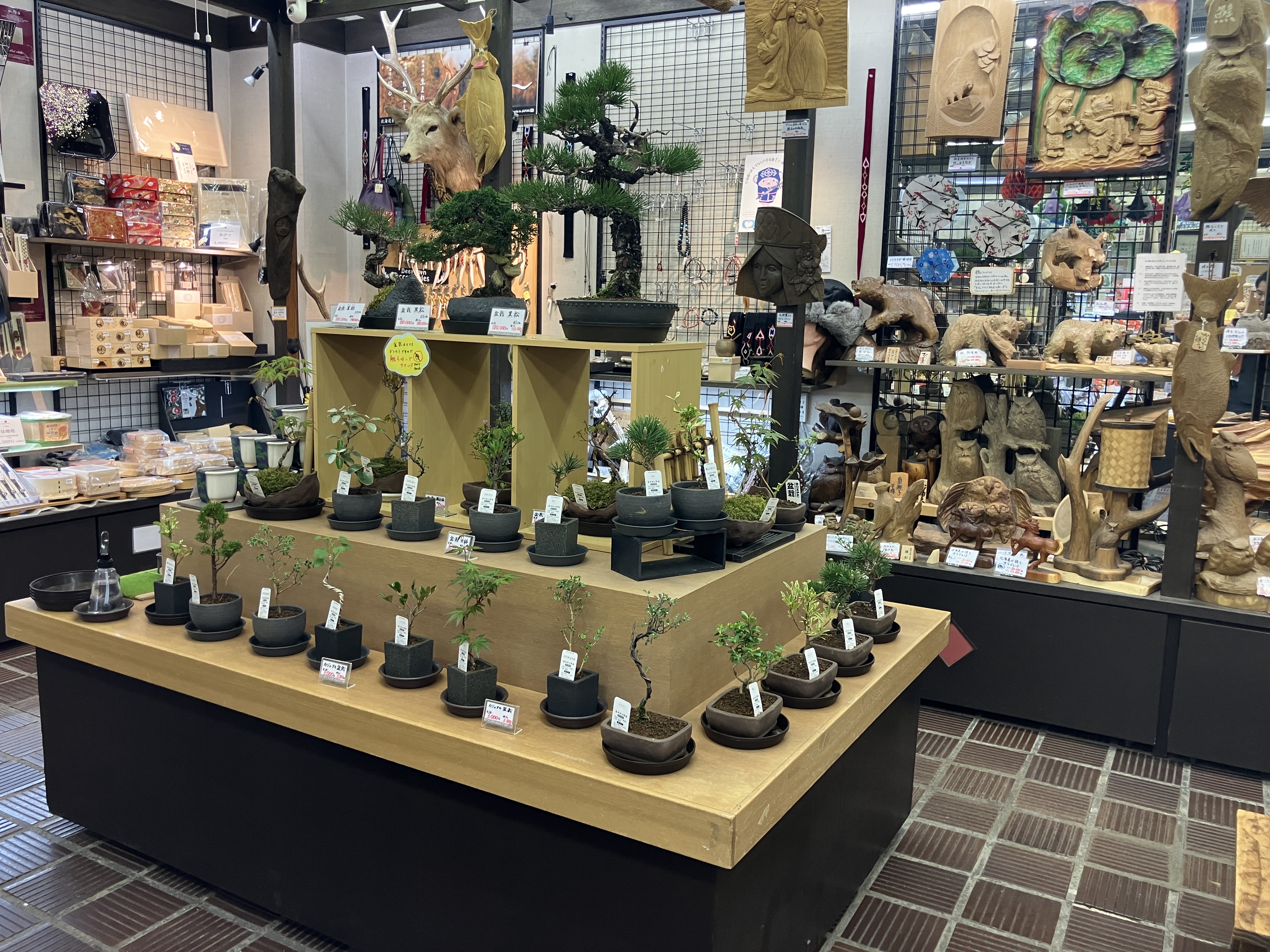 現在は店頭でのお土産販売だけでなく、ネット通販、レンタカー事業を行っており、売り上げはおかげさまで右肩上がり！