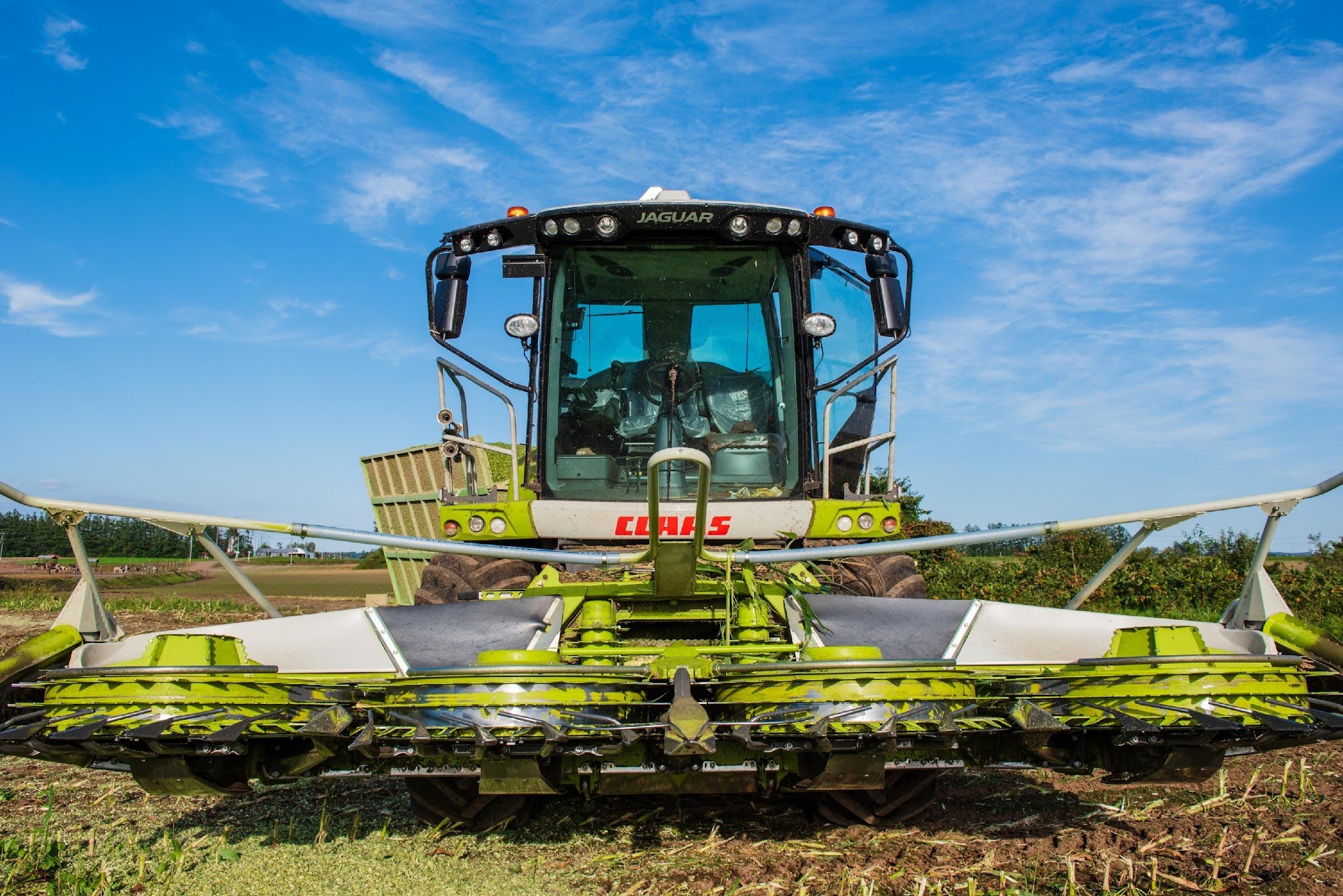 収穫期に大活躍する巨大なハーベスター。昨年、オペレーター職に関心のある方（大特免許、牽引免許、大型免許など保有、オペレーター経験なし）が応募前に収穫作業を現地で見学し、入社に繋がったケースもあります。