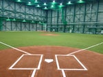 株式会社 スポーツ だいとう
