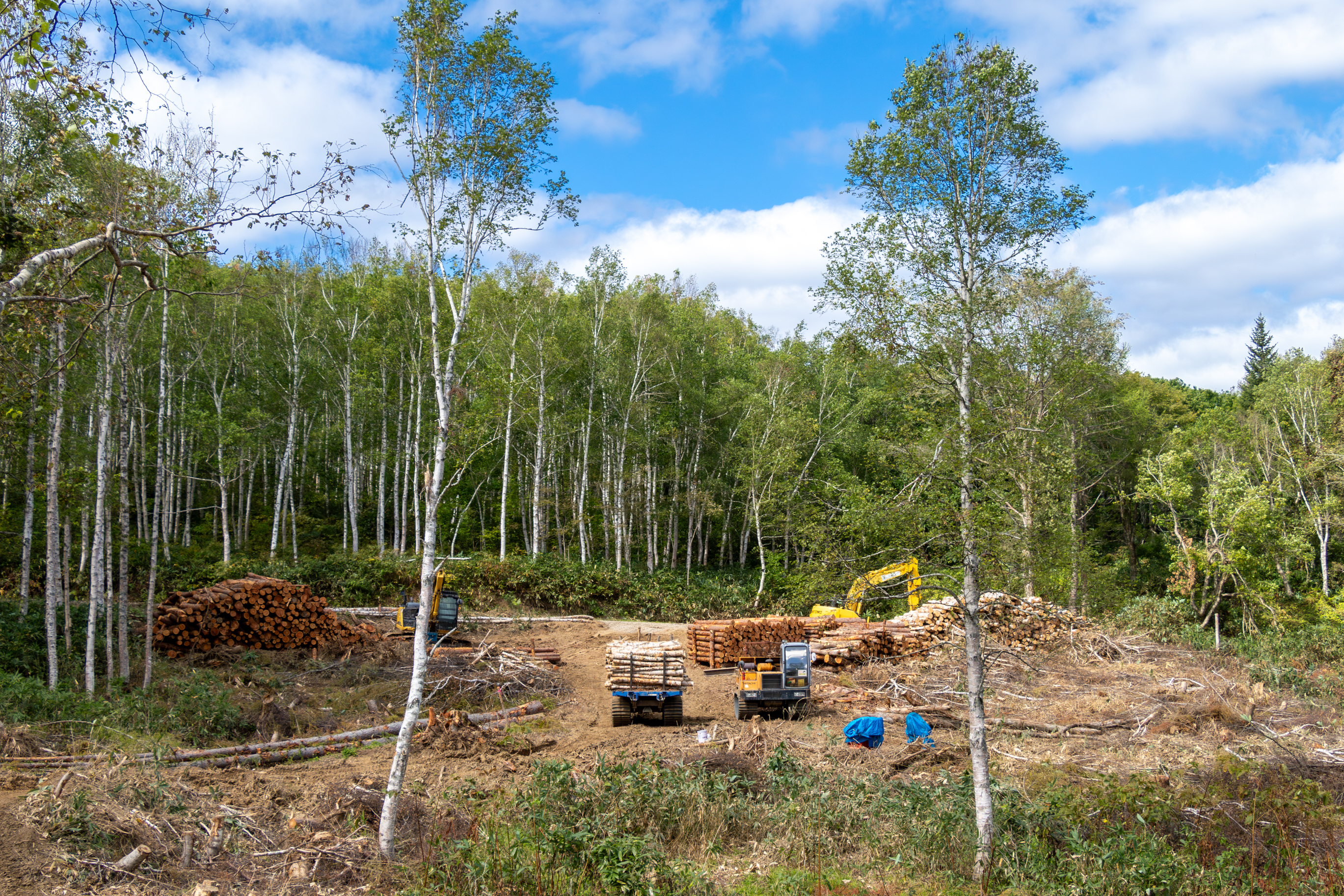 緑豊かで広大な自然の中で働く。この気持ち良さは林業ならではです。外で働きたい、体を動かしたい方にはピッタリ。もちろん休憩や熱中症対策なども欠かしませんのでご安心ください。