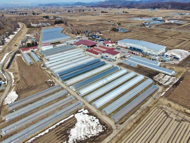 輸出を視野に入れてASIAGAPの農場認証も取得。協力企業との品種試験や提案型の販売、農福連携にも早くから取り組んできたのは、「安定生産と安定供給」を実現するため。これからも、挑戦の旅は続いていきます。