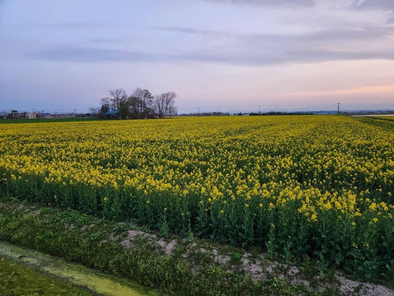 【社長はとにかく聞き上手】社長の清水は「何でも相談してほしい」というスタンス。仕事の悩みはもちろん、プライベートな相談も気兼ねなくできる雰囲気です。少人数だからこそ、一人ひとりを大切にする職場です。