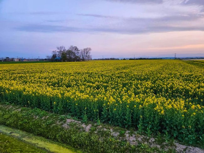 【社長はとにかく聞き上手】社長の清水は「何でも相談してほしい」というスタンス。仕事の悩みはもちろん、プライベートな相談も気兼ねなくできる雰囲気です。少人数だからこそ、一人ひとりを大切にする職場です。