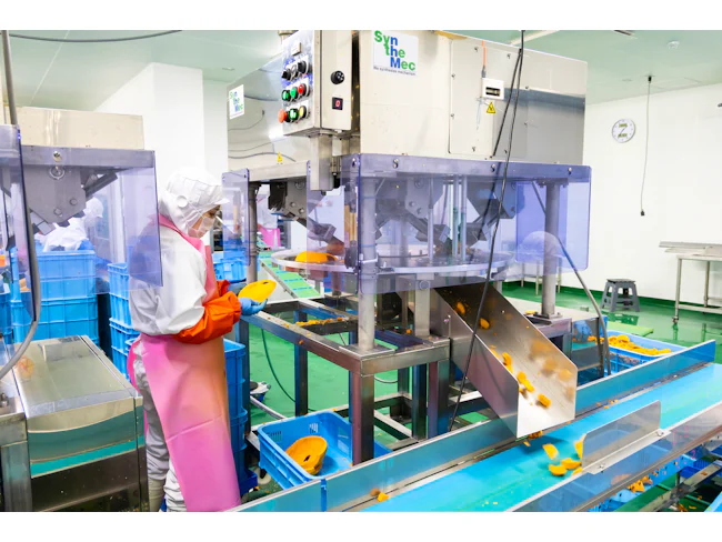 【基本的な製造工程(6)】
裁断作業も、専用の機械が担当。用途に合わせた最適なサイズへ、スピーディーにカットを行います。