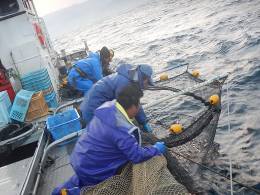 網を使った漁も協力しながら行います。港では魚の選別やネット販売もしているのでパソコンを使った作業。最近は札幌市場に直接魚を卸してもいます。