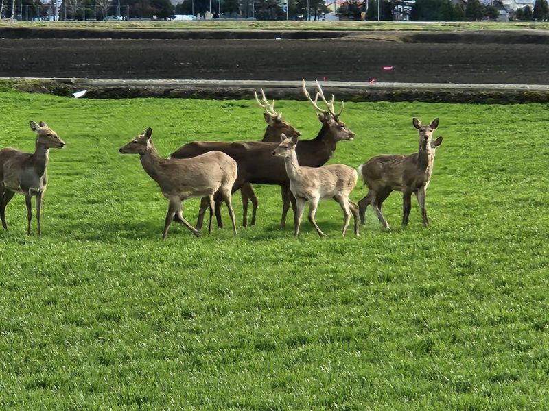【手ぶらで飛び込める環境】春と冬、年に2回「各3万円」を支給。仕事に必要な道具はこれで揃えられます。さらにガソリン代支給の軽トラ貸与や格安住居、秋には新米の贈答も。生活面のサポートには自信があります！