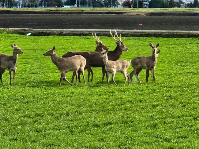 【手ぶらで飛び込める環境】春と冬、年に2回「各3万円」を支給。仕事に必要な道具はこれで揃えられます。さらにガソリン代支給の軽トラ貸与や格安住居、秋には新米の贈答も。生活面のサポートには自信があります!