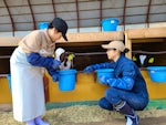 有限会社 屈足肉牛牧場