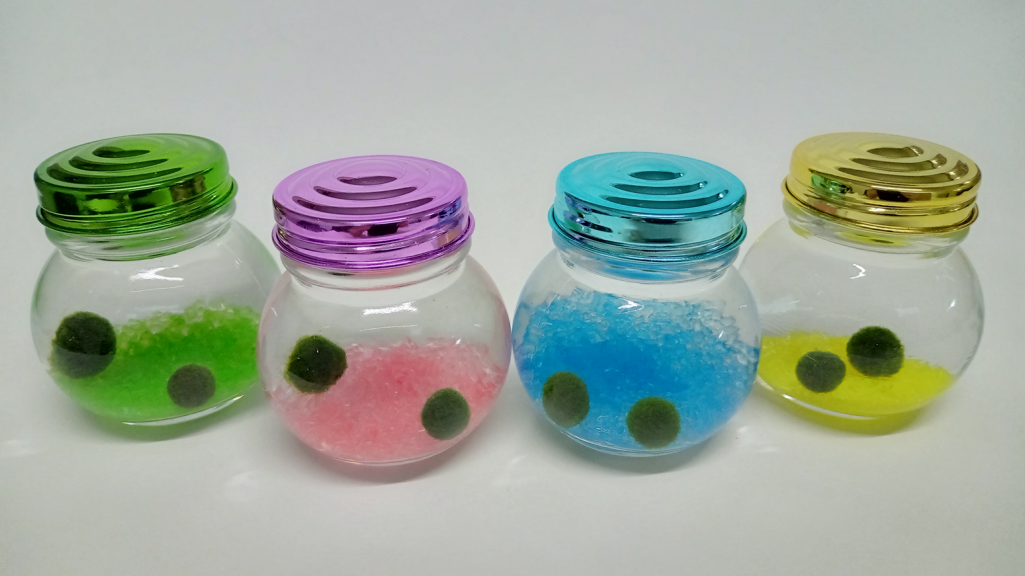 まりも自体も養殖しているんです。