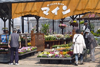 株 市川造園 造園作業員の期間従業員の求人情報 アルキタ