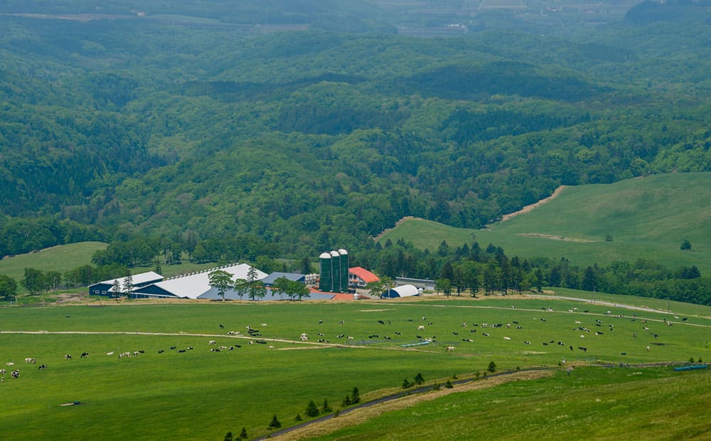 牛の健康寿命が伸びることで、人でいう医療費も削減されました。人の労働負荷も減り、健康的な牧場経営ができています。生産から加工、販売までワタミグループ内で行う循環型のモデルがうまく回り始めた原点です。