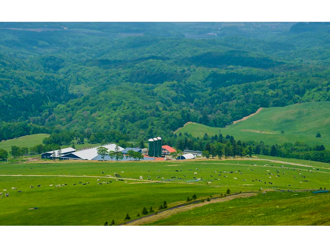 牛の健康寿命が伸びることで、人でいう医療費も削減されました。人の労働負荷も減り、健康的な牧場経営ができています。生産から加工、販売までワタミグループ内で行う循環型のモデルがうまく回り始めた原点です。