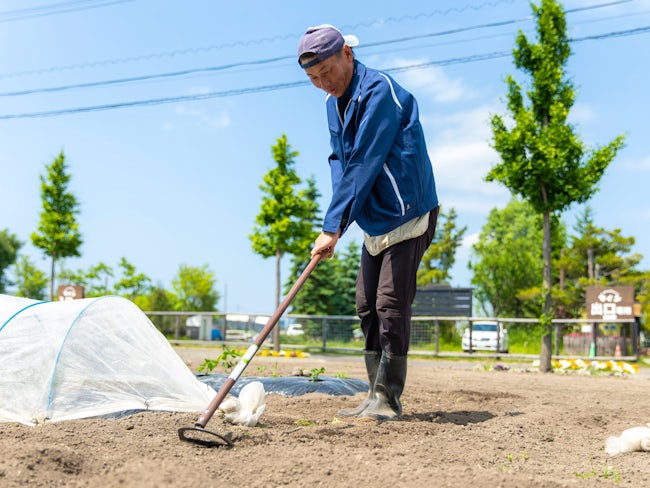 20数年前、全くの未経験からスタートした私ですが、少しずつ経験を積んできました。これまで農業未経験の一般の方へ教える機会が多かったので「教え方」には自信があります!