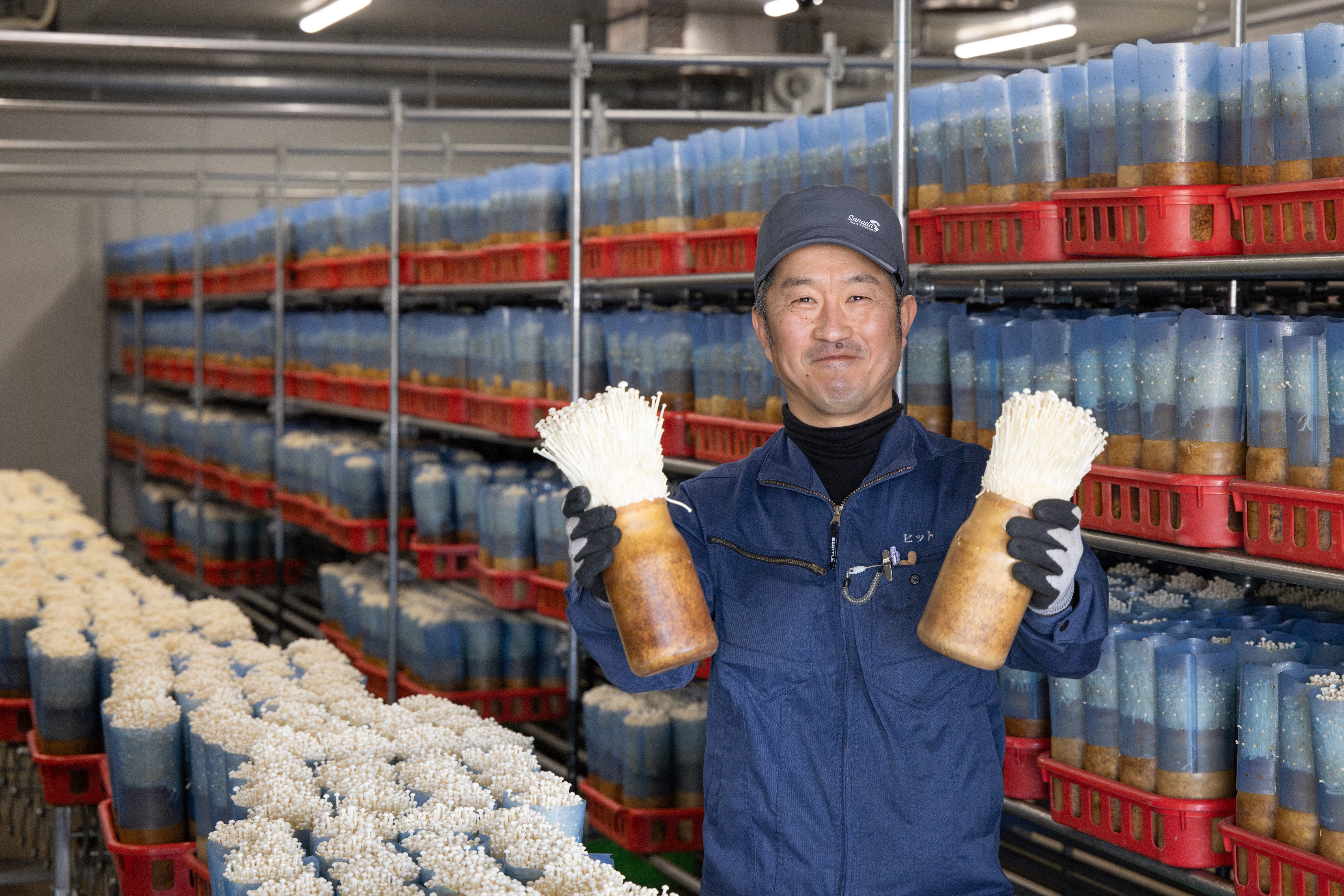 「えのきってもやしみたいな存在！飲食店やホテルが軒並み打撃を受けたコロナ禍も生産量が落ち込むことはほぼなく「いかに普段からご家庭で食べて下さっているかがわかりました。」（生産部マネージャー菊地）