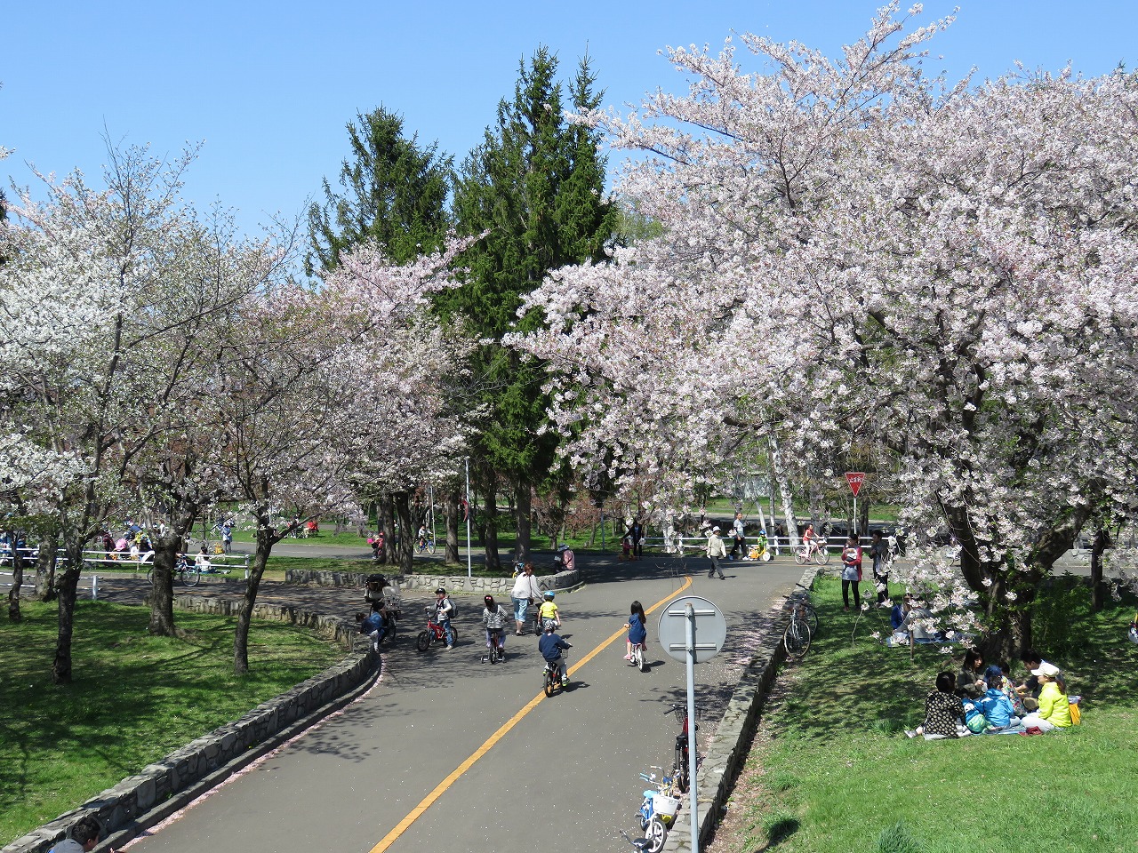 公益財団法人 札幌市公園緑化協会