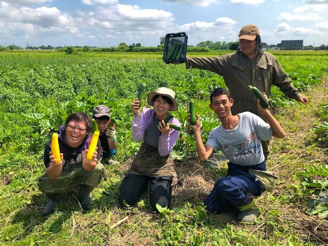 屋内では豆の選別や加工作業のサポート業務などもあり、収穫が終わっても多岐にわたるお仕事があります。