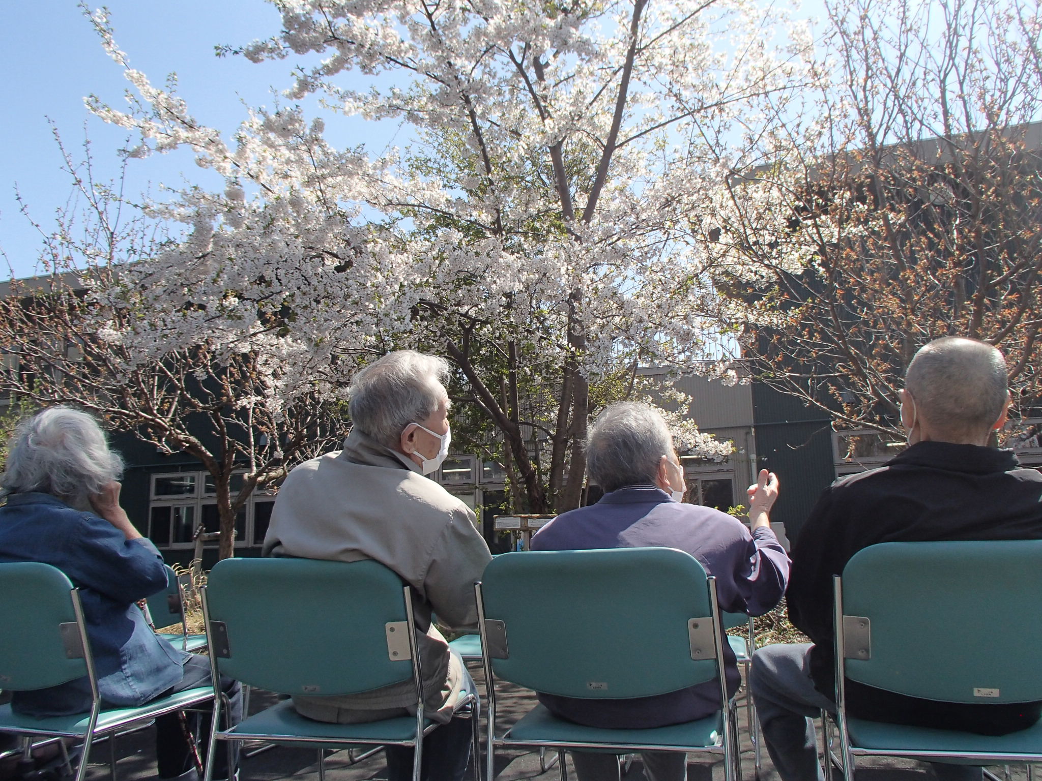 社会福祉法人　いちはつの会
