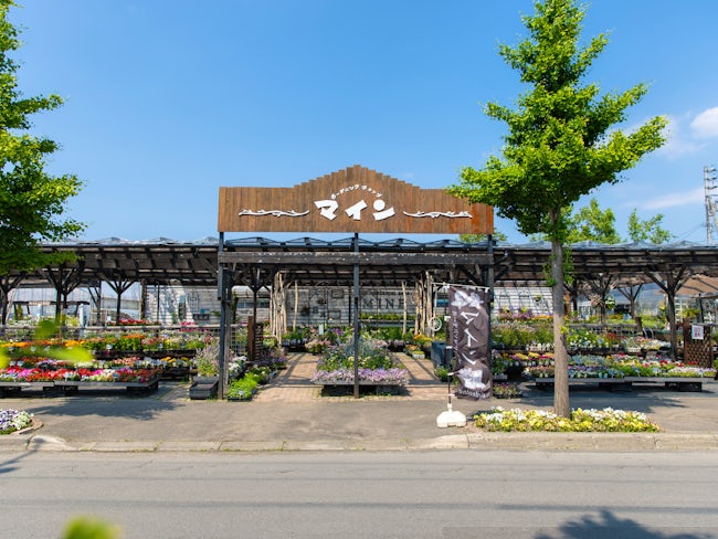 当社は園芸業から始まったこともあり、樹木だけではなく、一年草、宿根草といった植物にも強い造園会社です。農業法人も立ち上げており、公共工事から民間事業、冬季の除排雪まで幅広く展開しています。