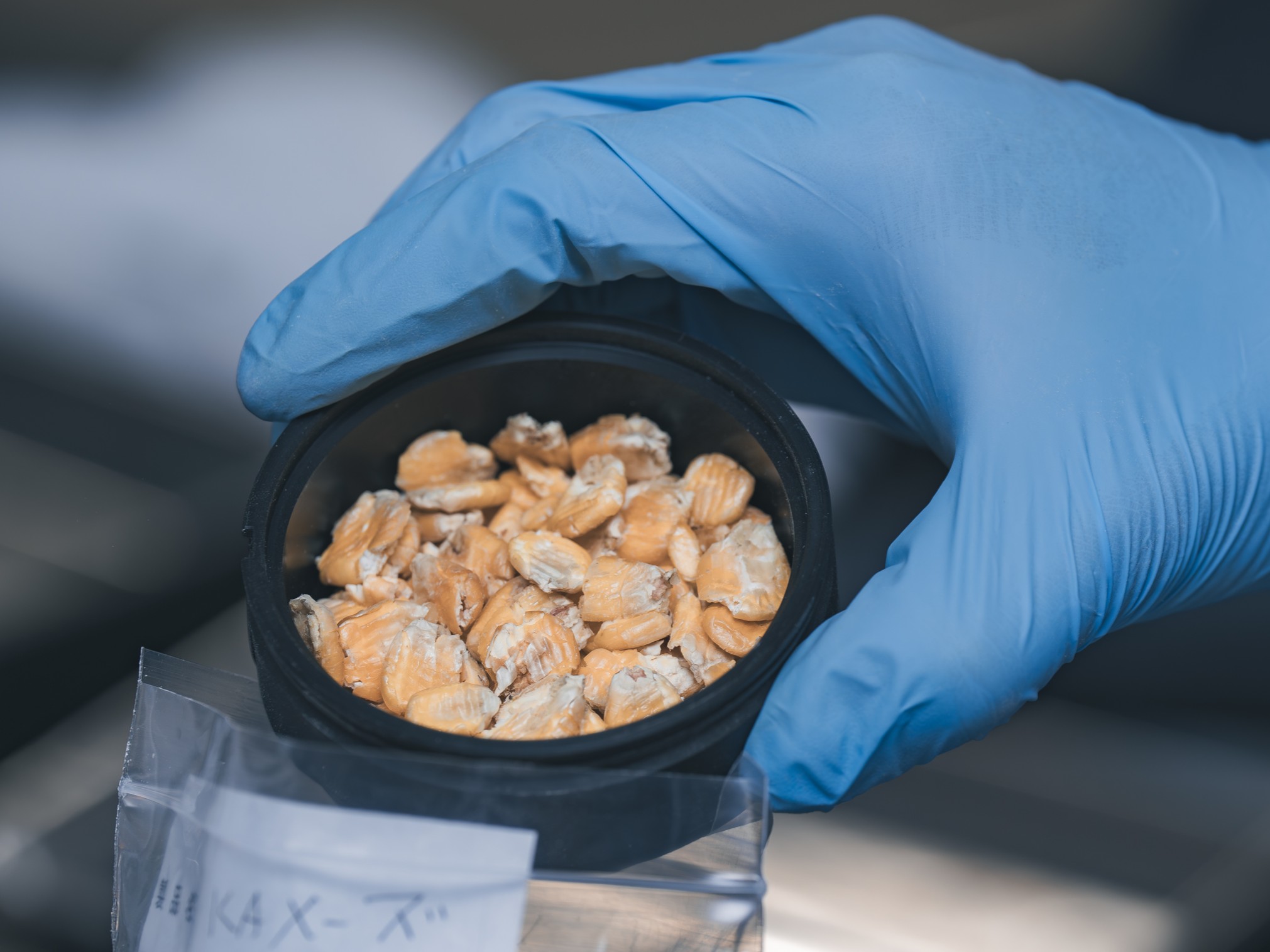 ホクレンくみあい飼料株式会社