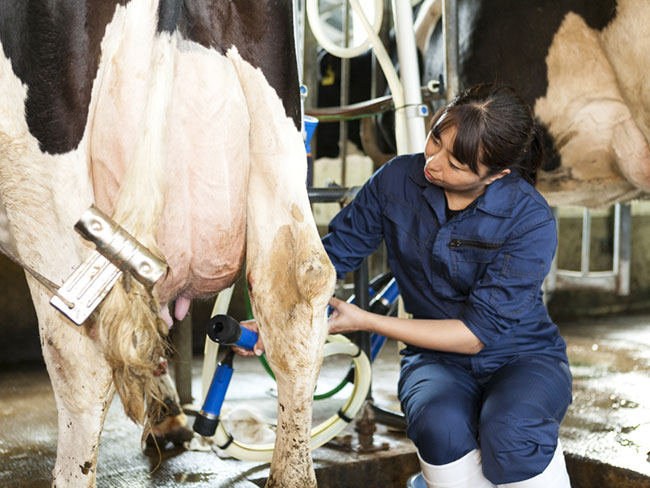 有給休暇も利用できますので、ご家庭での都合やどがあればお気軽にご相談ください。
