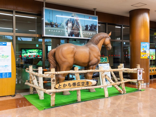 北海道はもちろん、全国の主要都市の空港で空港保安などの警備業を請け負っています。
就業場所は少し都心部から離れていますが、アナタが輝ける場所をご用意してお待ちしております!