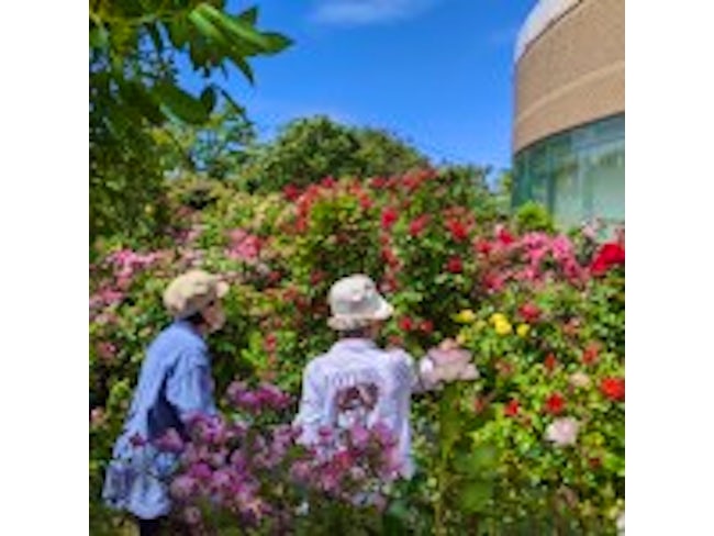 時には足を延ばしてローズガーデンへ散策
美しい庭園にバラの香りに包まれた一日でした