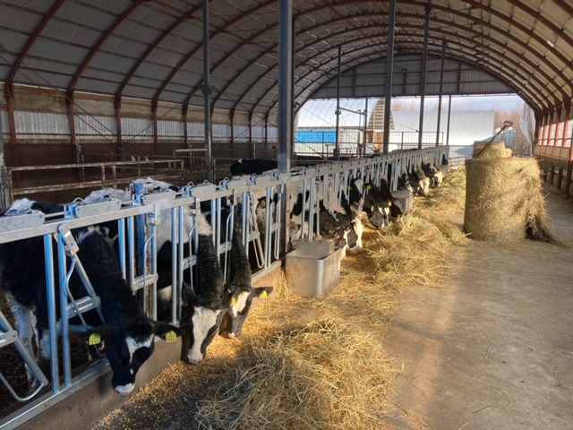 株式会社清友ファーム