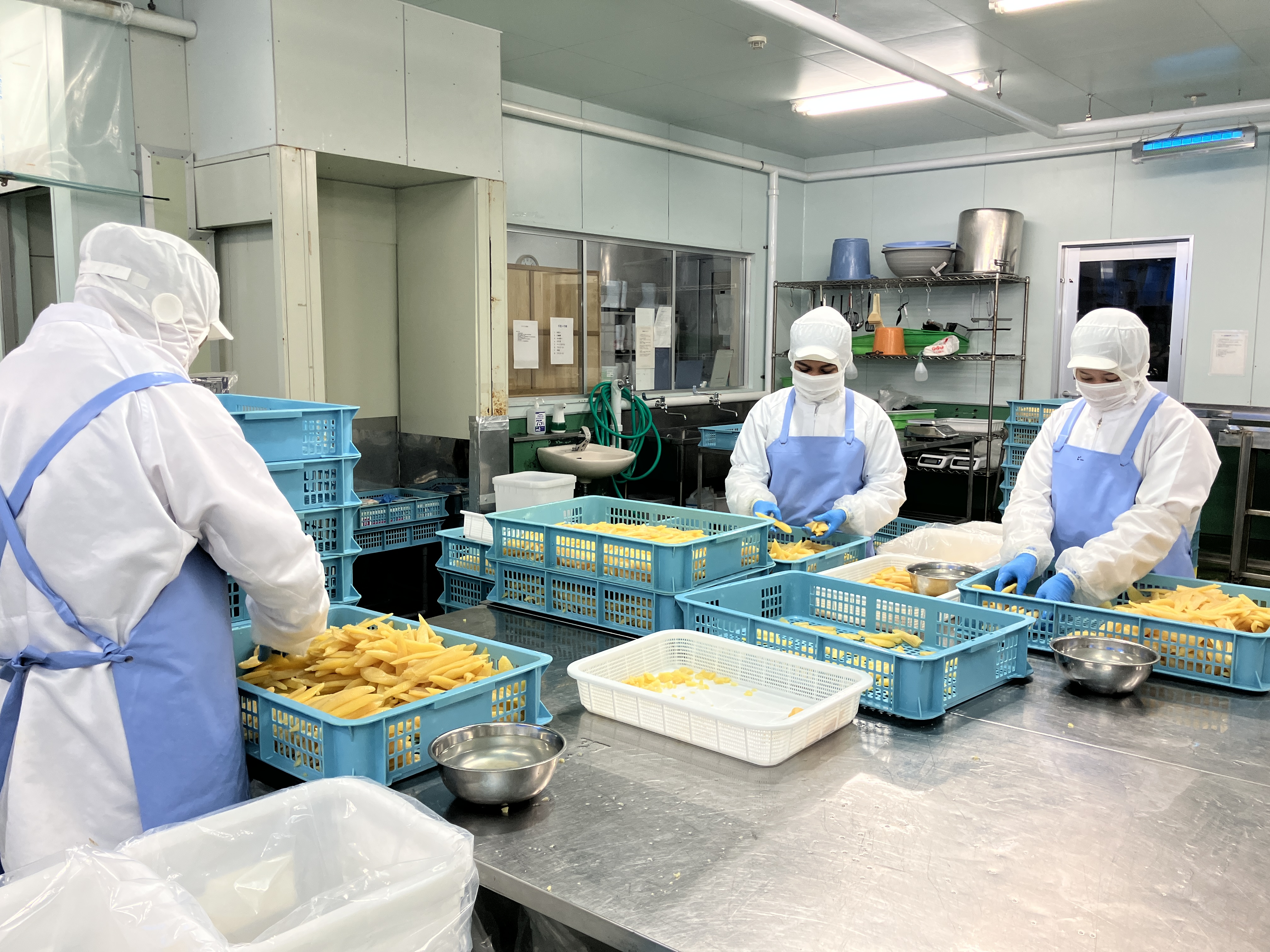 最初は冷凍された原料の解凍や、魚をカットテーブルに載せるなどの簡単な下準備からスタート。先輩が隣についてイチから丁寧にお教えするので、安心して始められます。