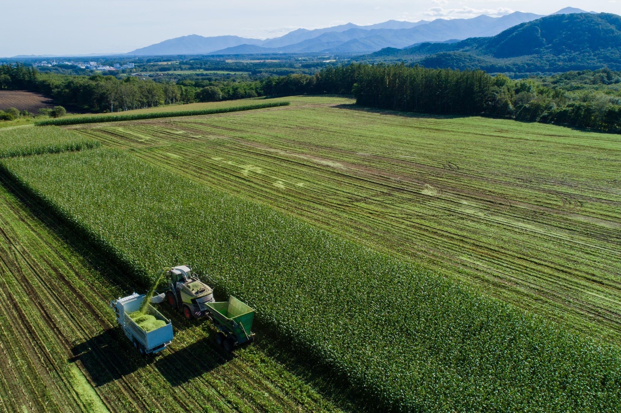 株式会社 十勝耕畜クラスター
