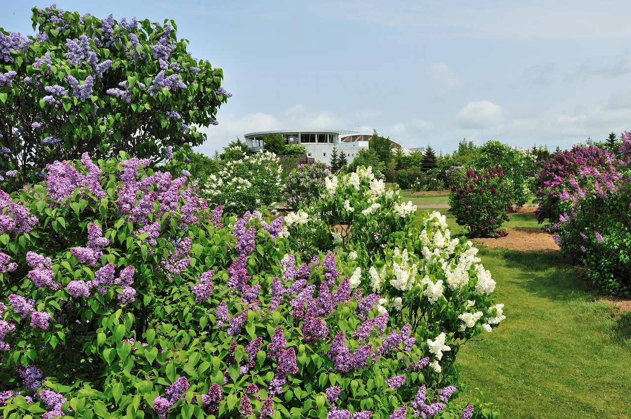公益財団法人 札幌市公園緑化協会
