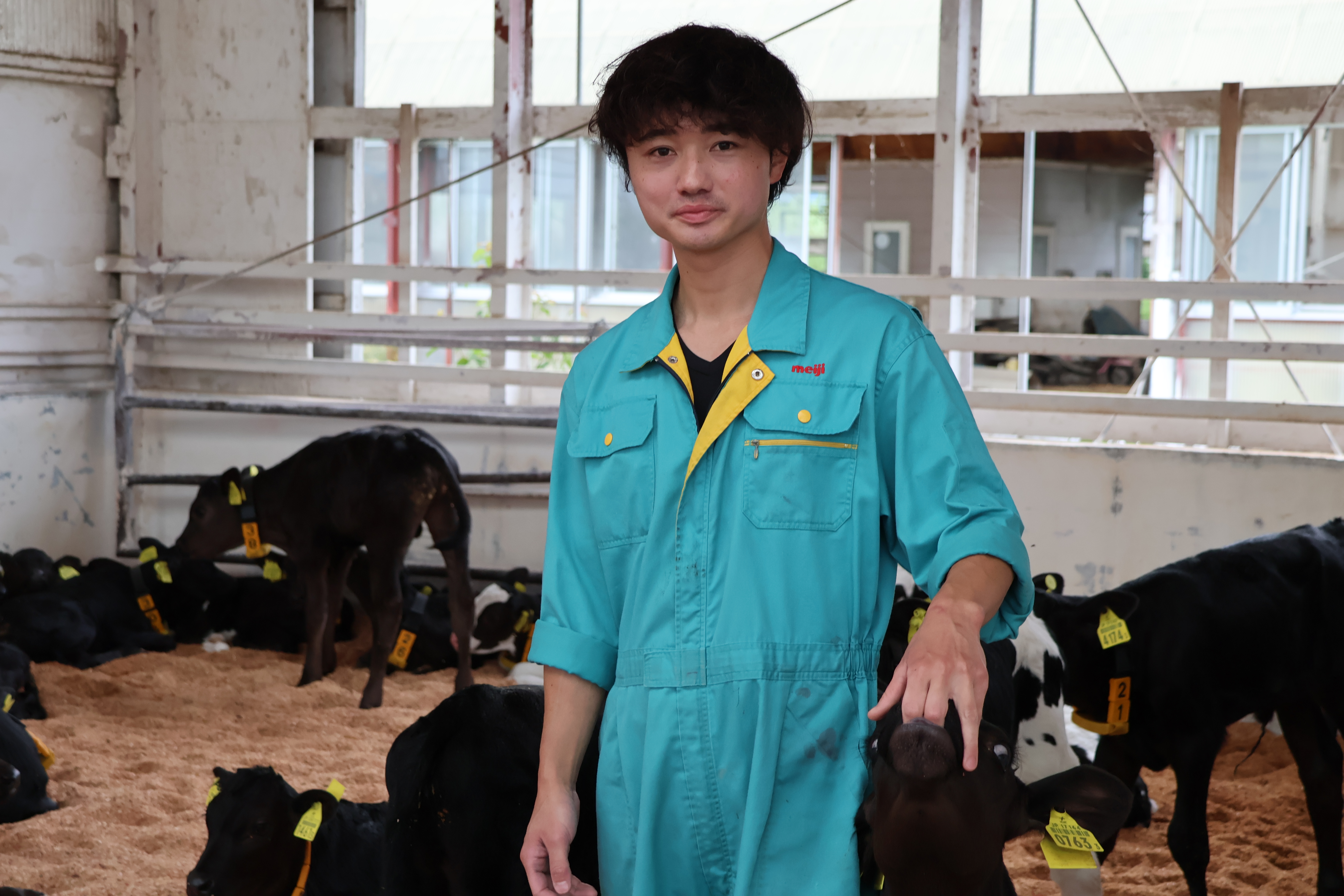 有限会社 屈足肉牛牧場