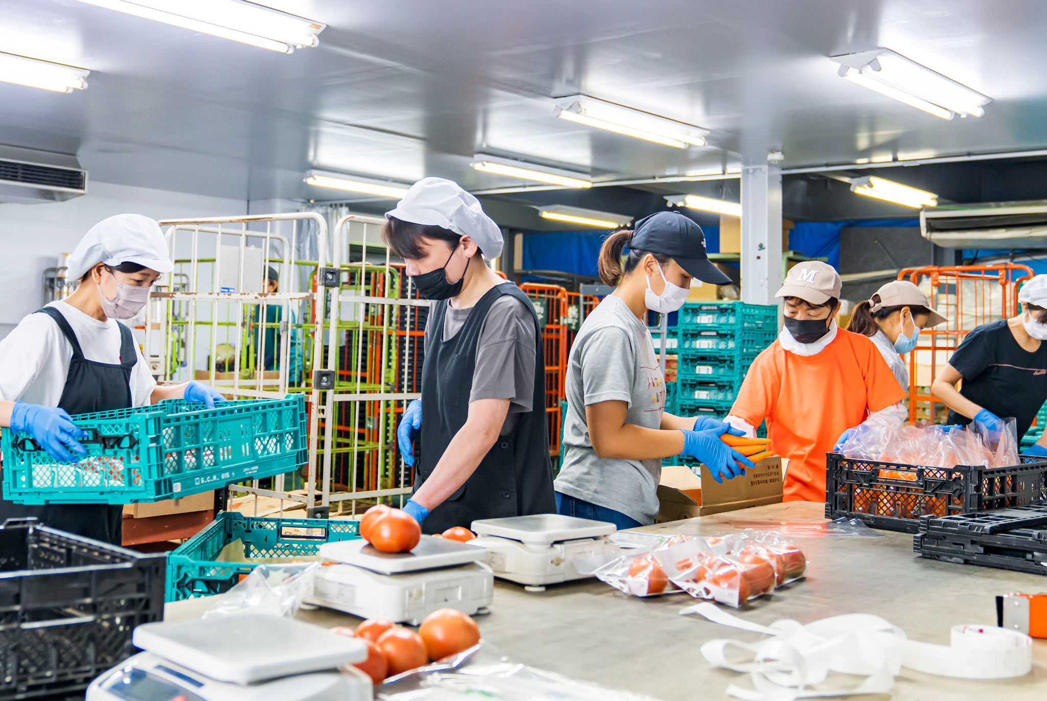 石狩、札幌、恵庭、仁木、ファームランドと道内に展開中。勤務地によってダンプやウイング車など扱う車両が異なるため、希望の働き方を選べます。腰を据えて働きたい方も、ステップアップしたい方ももちろんOKです！