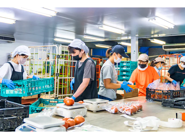 石狩、札幌、恵庭、仁木、ファームランドと道内に展開中。勤務地によってダンプやウイング車など扱う車両が異なるため、希望の働き方を選べます。腰を据えて働きたい方も、ステップアップしたい方ももちろんOKです!