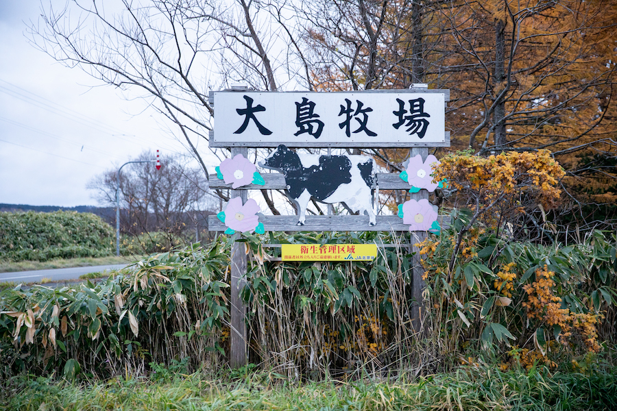 こちらが大島牧場の目印。
見学の方もぜひお問い合わせください。
私たちのこと、このまちのこと、たくさん伝えたいことがあります。
良ければ「くらしごと」のインタビューも見てみてください。