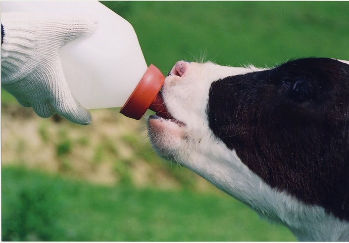 MFフィード株式会社