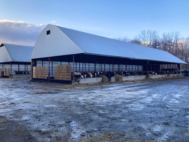 最初は牛に慣れるのが大変かもしれませんが、徐々に慣れていって頂いても構いません。