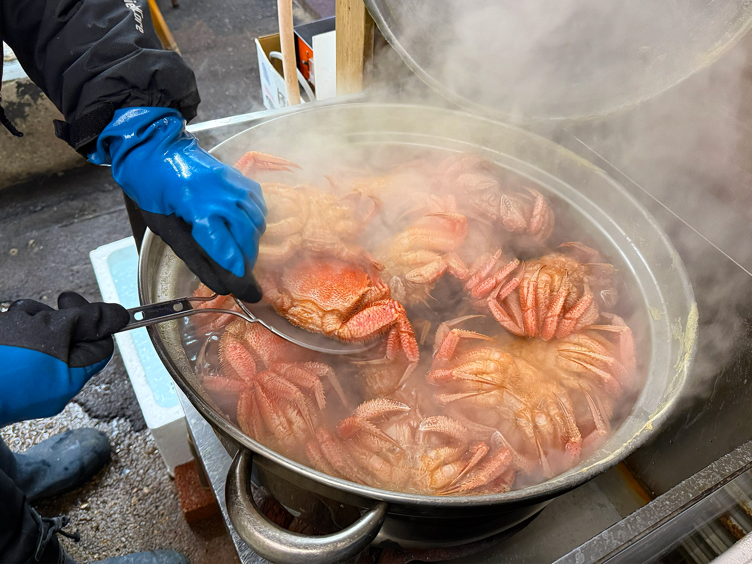 【新鮮な活毛蟹を当店で豪快に釜茹で！旨味を閉じ込めて北海道から全国へ直送しています。】