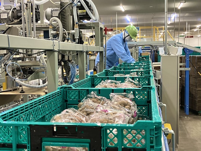 応募動機はなんでも構いません。「スーパーでよく見かける」「よく食べてる」そんなきっかけからスタートした方も多いです。