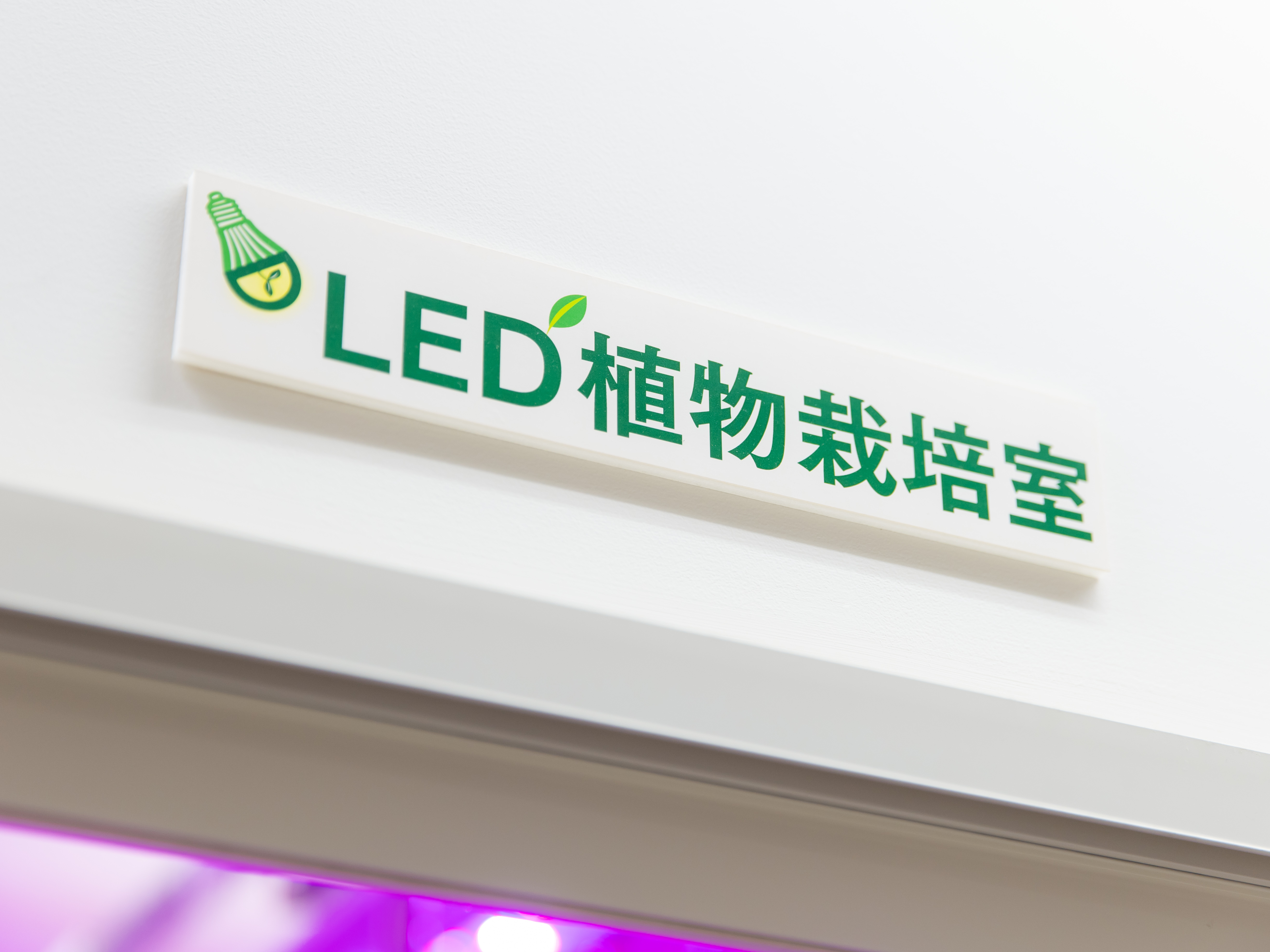 こんなこともやっているの！？の1つとして、自社内でLED菜園工場を保有。季節を問わず、新鮮な無農薬野菜を栽培しています。できた野菜は従業員に還元していますよ。