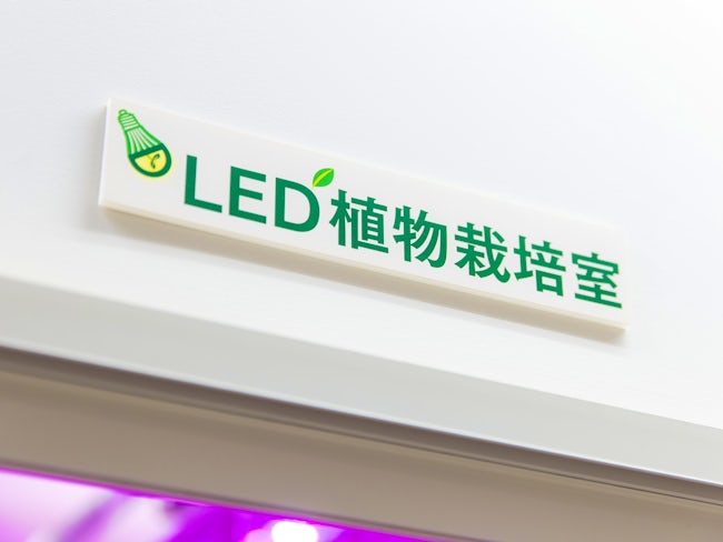 こんなこともやっているの!?の1つとして、自社内でLED菜園工場を保有。季節を問わず、新鮮な無農薬野菜を栽培しています。できた野菜は従業員に還元していますよ。