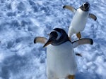 (株)小樽水族館公社