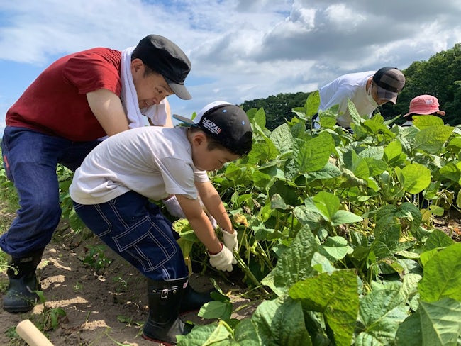 安平町の自然・食・文化や農業体験等を通した体験型観光は、町を身近に感じてもらうことができ、安平町のファンを増やすきっかけづくりにつながります。
