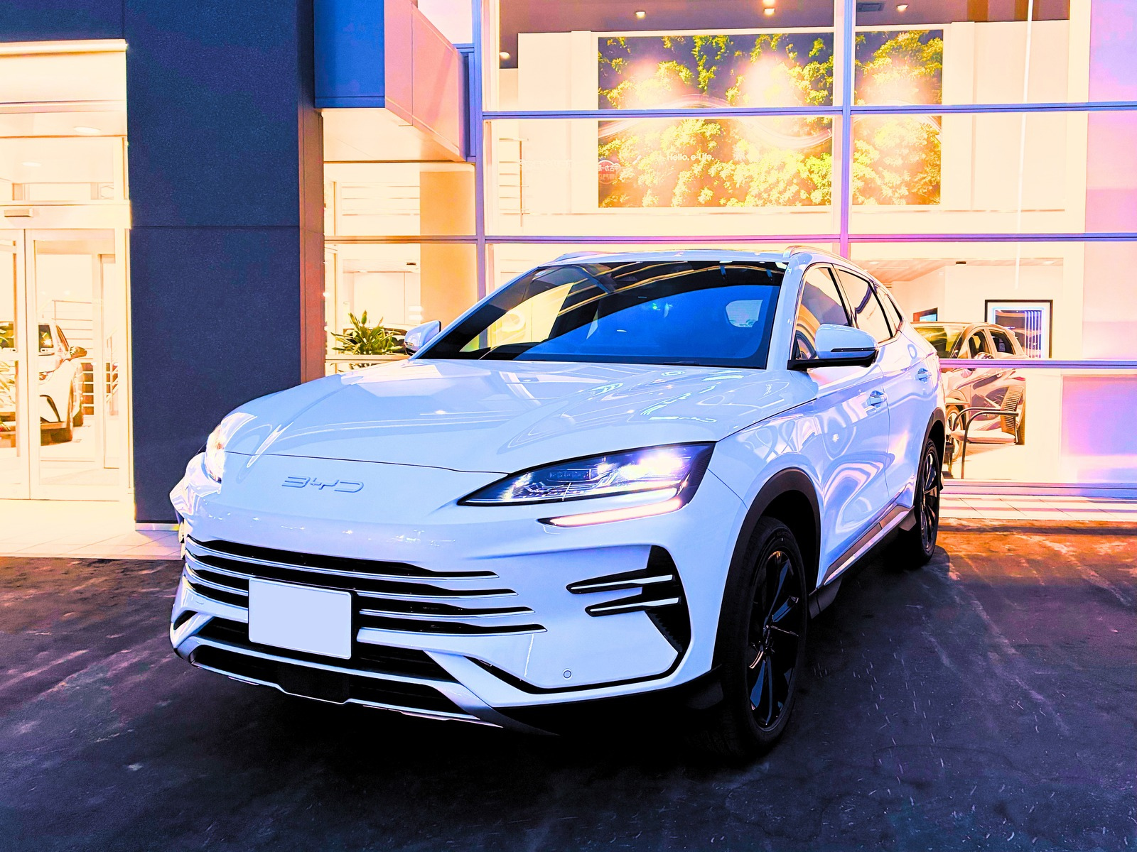 BYD AUTO旭川店 株式会社D&D Import Japan